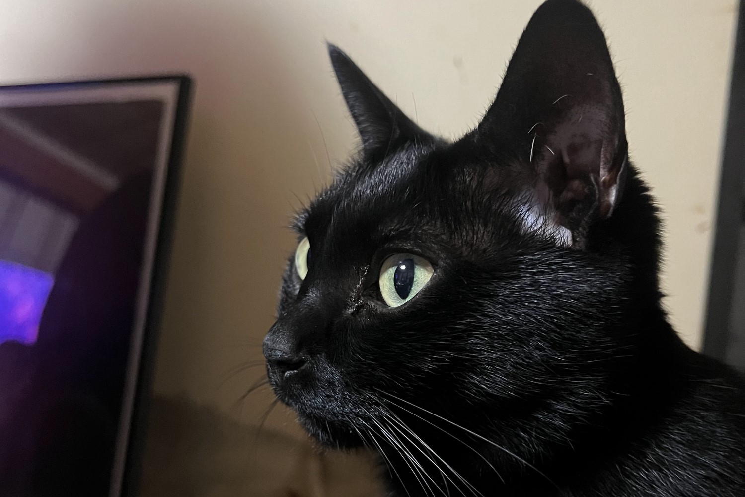 ノーチカの美しい瞬間4