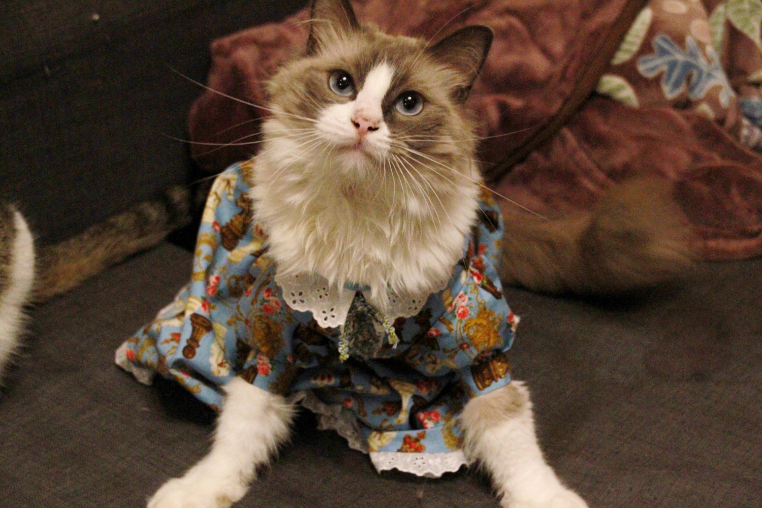 ポーチカの美しい瞬間3