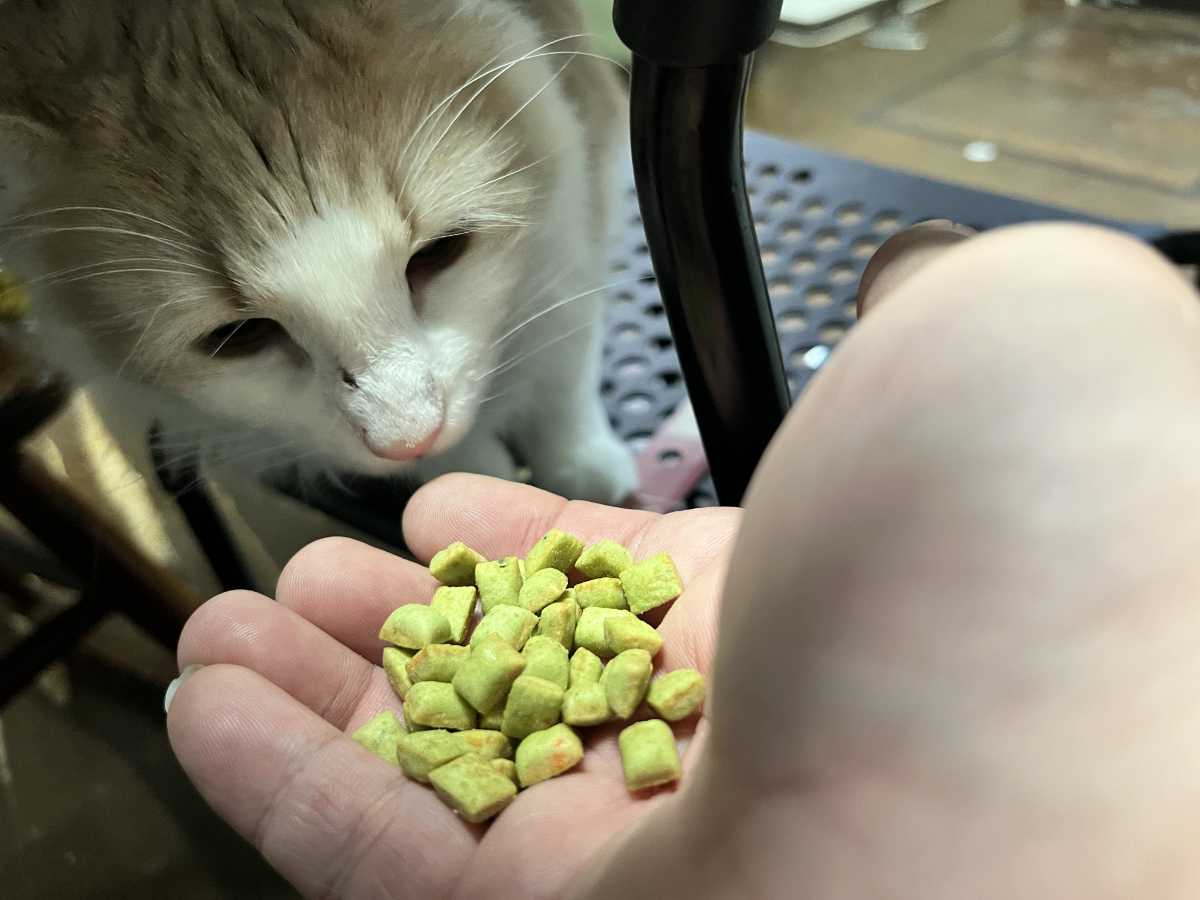 小さなカリカリ