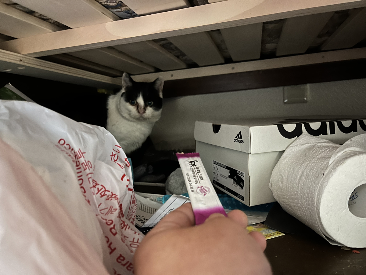 ふくいちはまだ