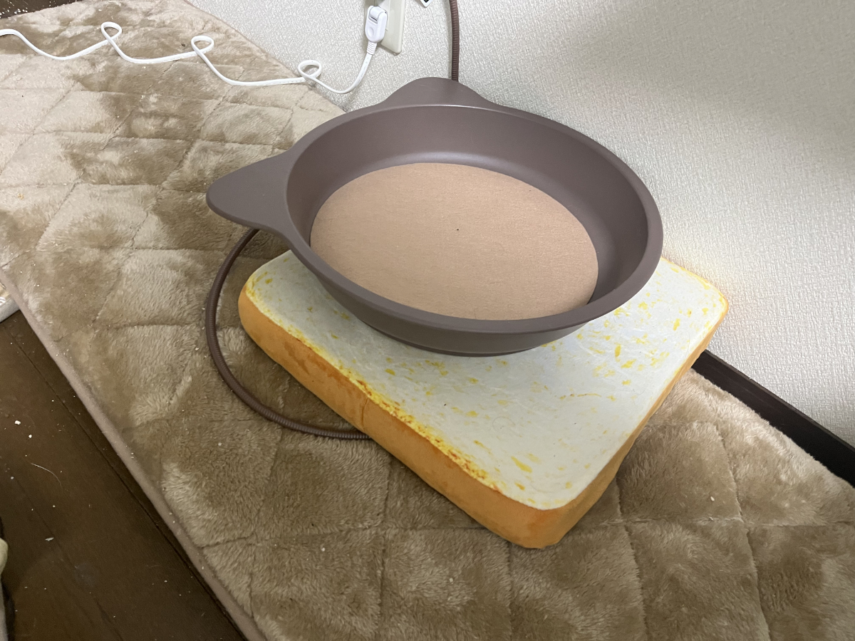 電気毛布とあったか猫鍋