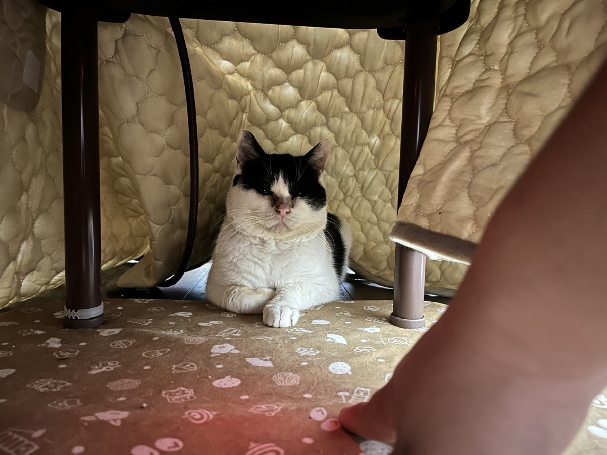 指を近づける瞬間