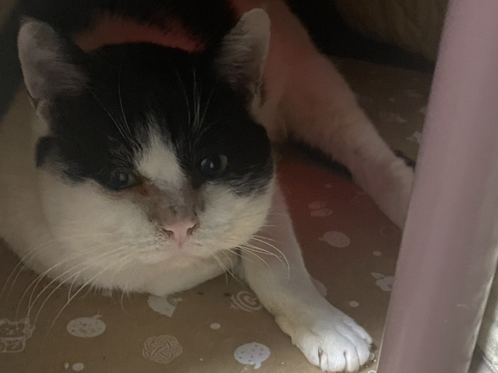 薫ちゃんの表情