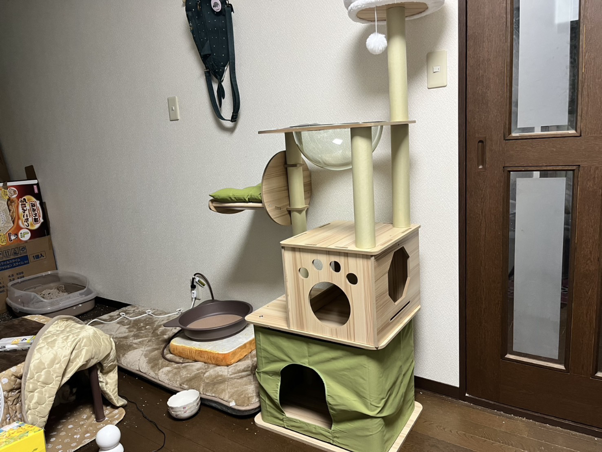 新しいキャットタワー