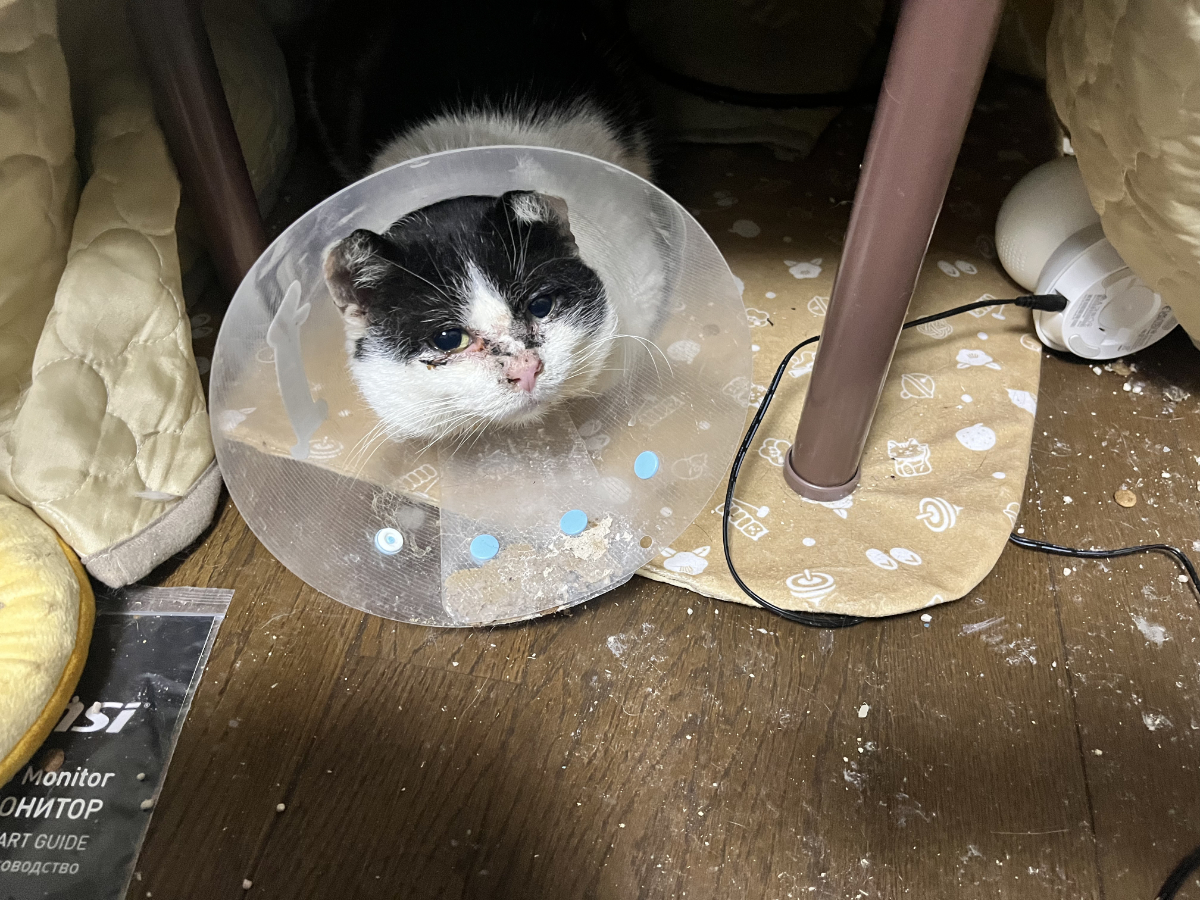 いつものご機嫌顔に戻ったふくいち