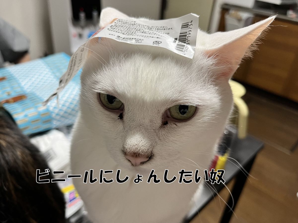 薫ちゃんのマーキング問題