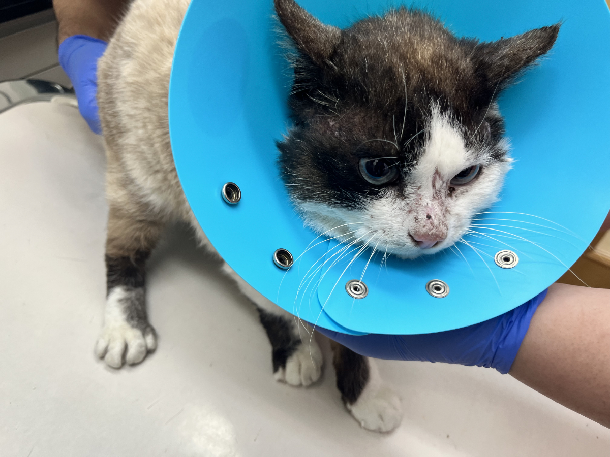 薫ちゃんの心配事