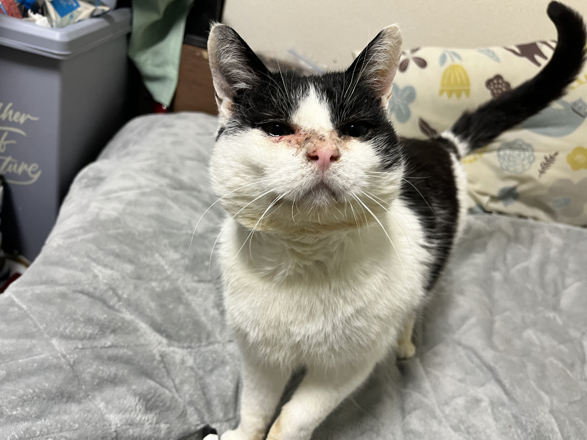 うれしい顔のふくいち