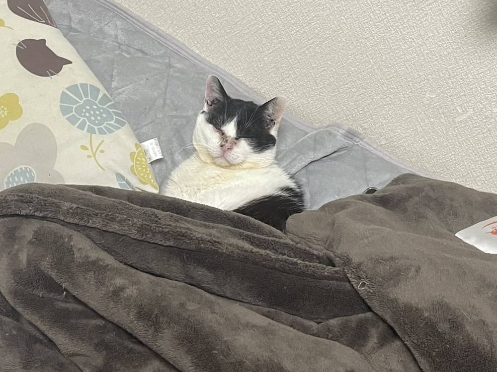 ベッドで待つふくいち