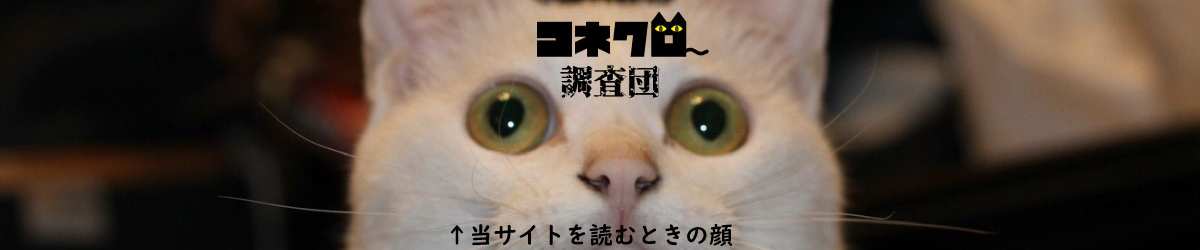 コネクロ調査団