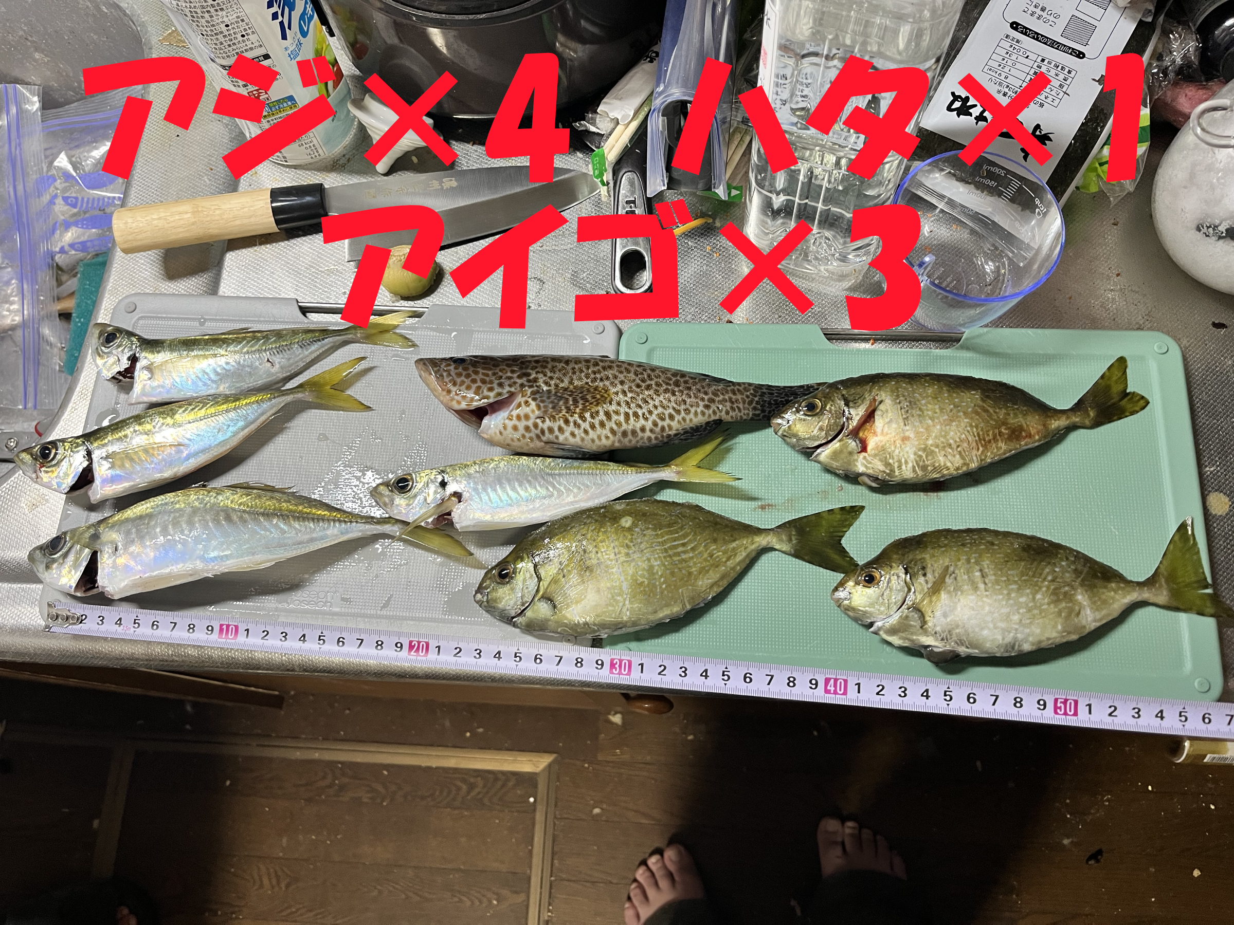 第1日目の釣果