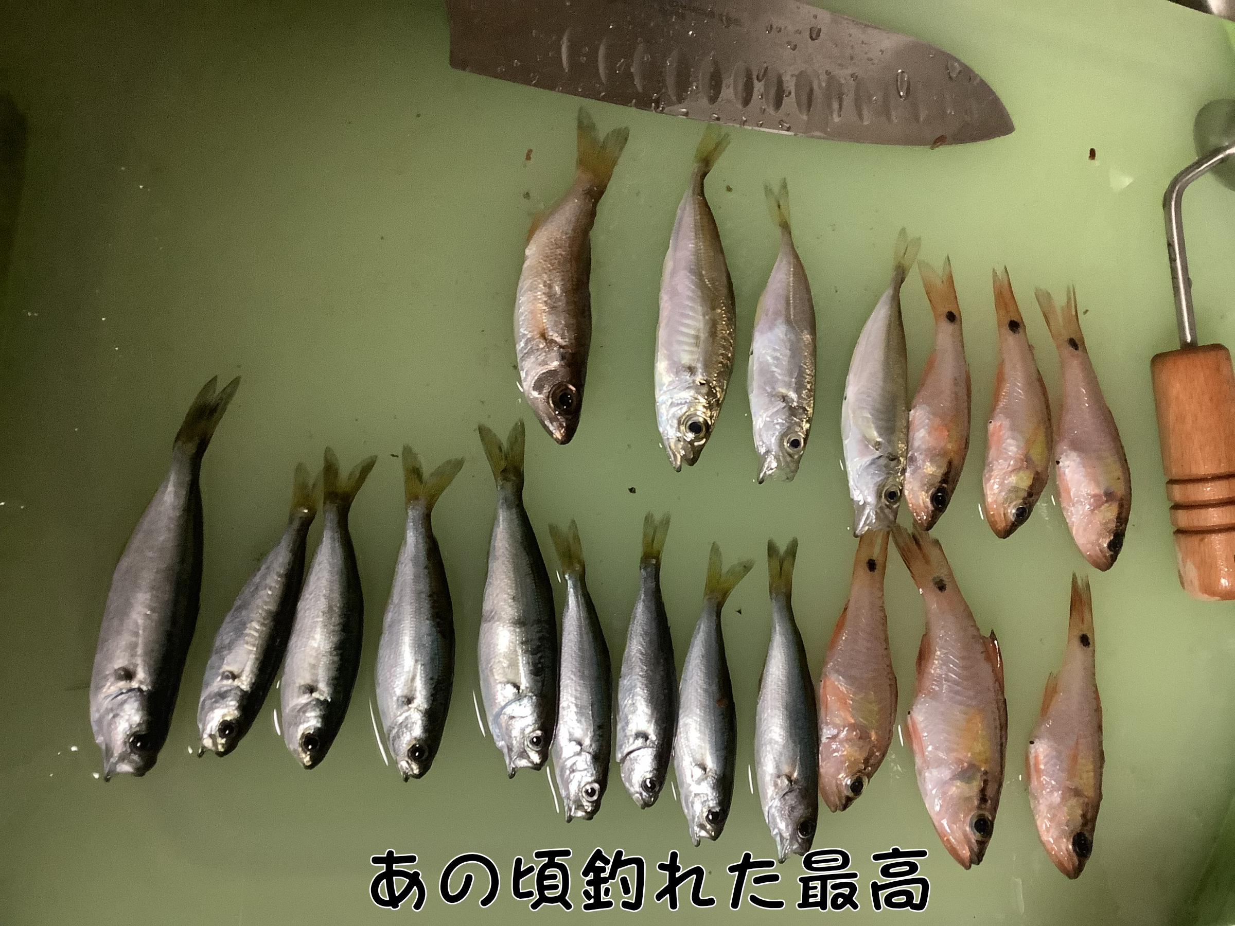 神奈川の釣り事情