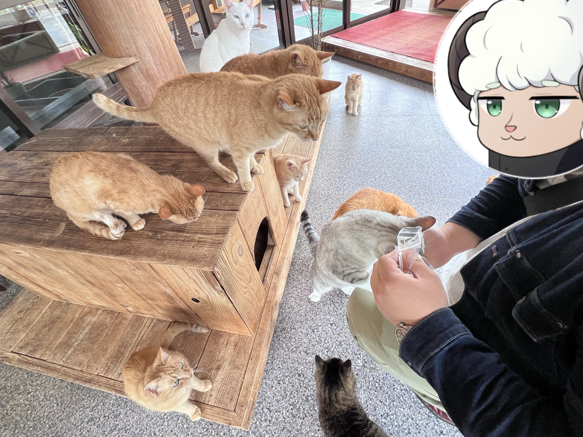 喫茶ダンボール外観